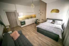 Prague friendly apartments in Prague
